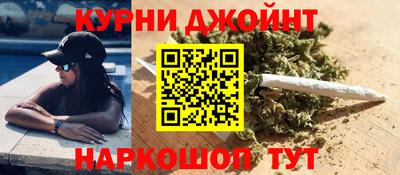 прущие грибы Ставрополь