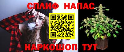 прущие грибы Ставрополь