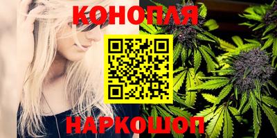 прущие грибы Ставрополь