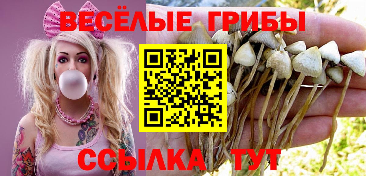 Новоуральск  Галлюциногенные грибы Psilocybe  Вход с VPN  Галлюциногенные грибы Cubensis 